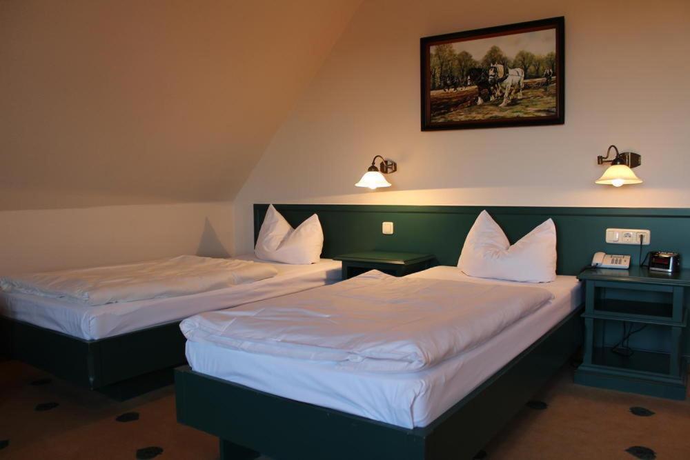 Mueritz Landhotel Gruener Baum Gotthun الغرفة الصورة